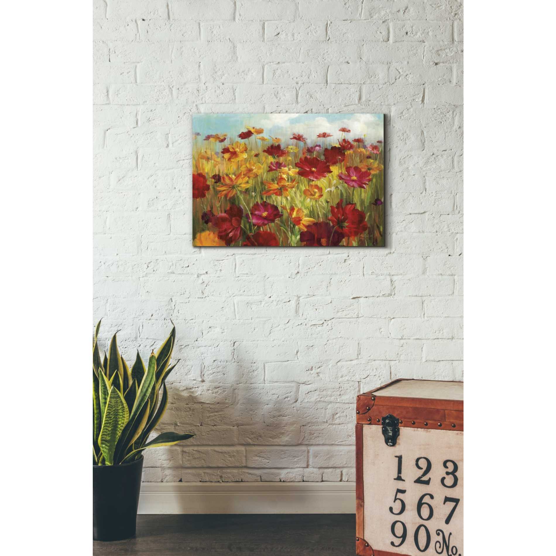 'Cosmos in the Field' by Danhui Nai, Canvas Wall Art,18 x 26