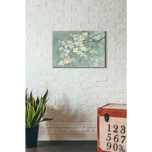 'Dogwood in Spring on Blue' by Danhui Nai, Canvas Wall Art,18 x 26