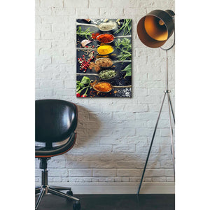 'A Pinch of Spice' Canvas Wall Art,18 x 26