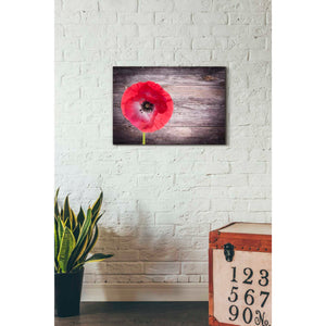 'Luxury On Rustic' Canvas Wall Art,18 x 26