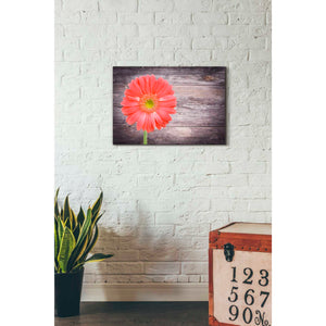 'Vitamin C' Canvas Wall Art,18 x 26