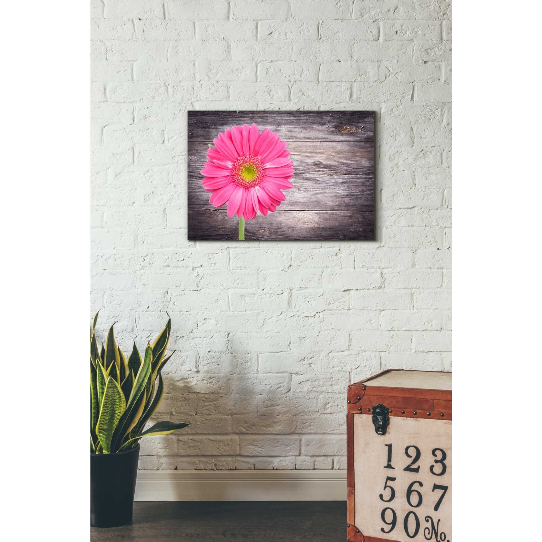 'Friendship' Canvas Wall Art,18 x 26