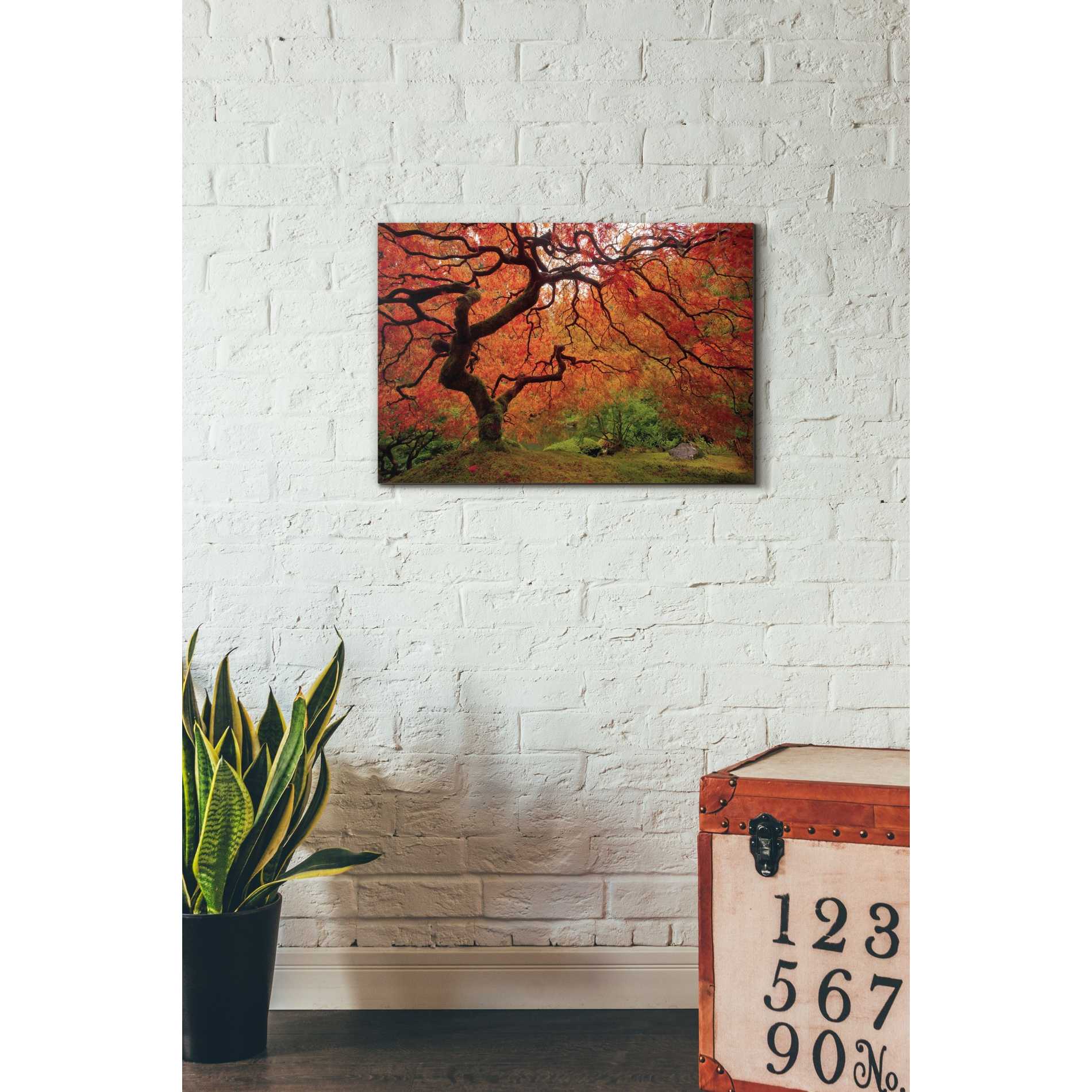 'Tree Fire' by Darren White, Canvas Wall Art,18 x 26