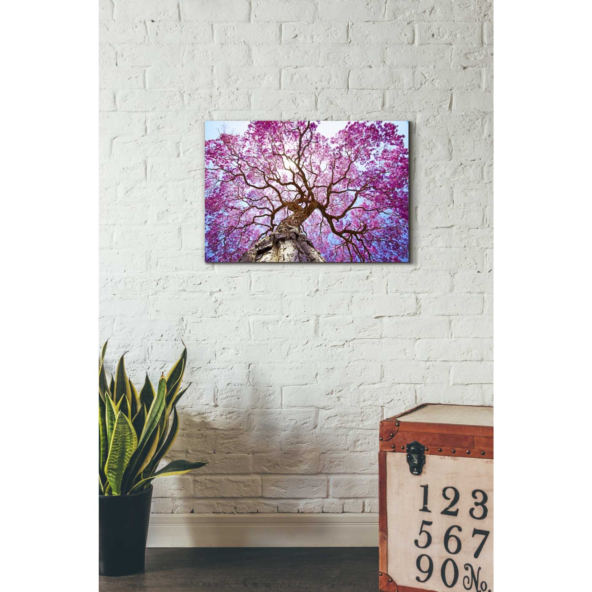 'Thing of Beauty' Canvas Wall Art,18 x 26