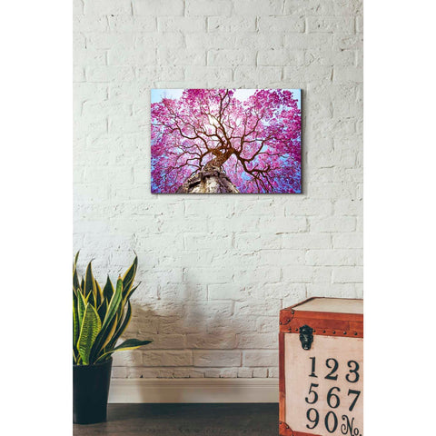Image of 'Thing of Beauty' Canvas Wall Art,18 x 26