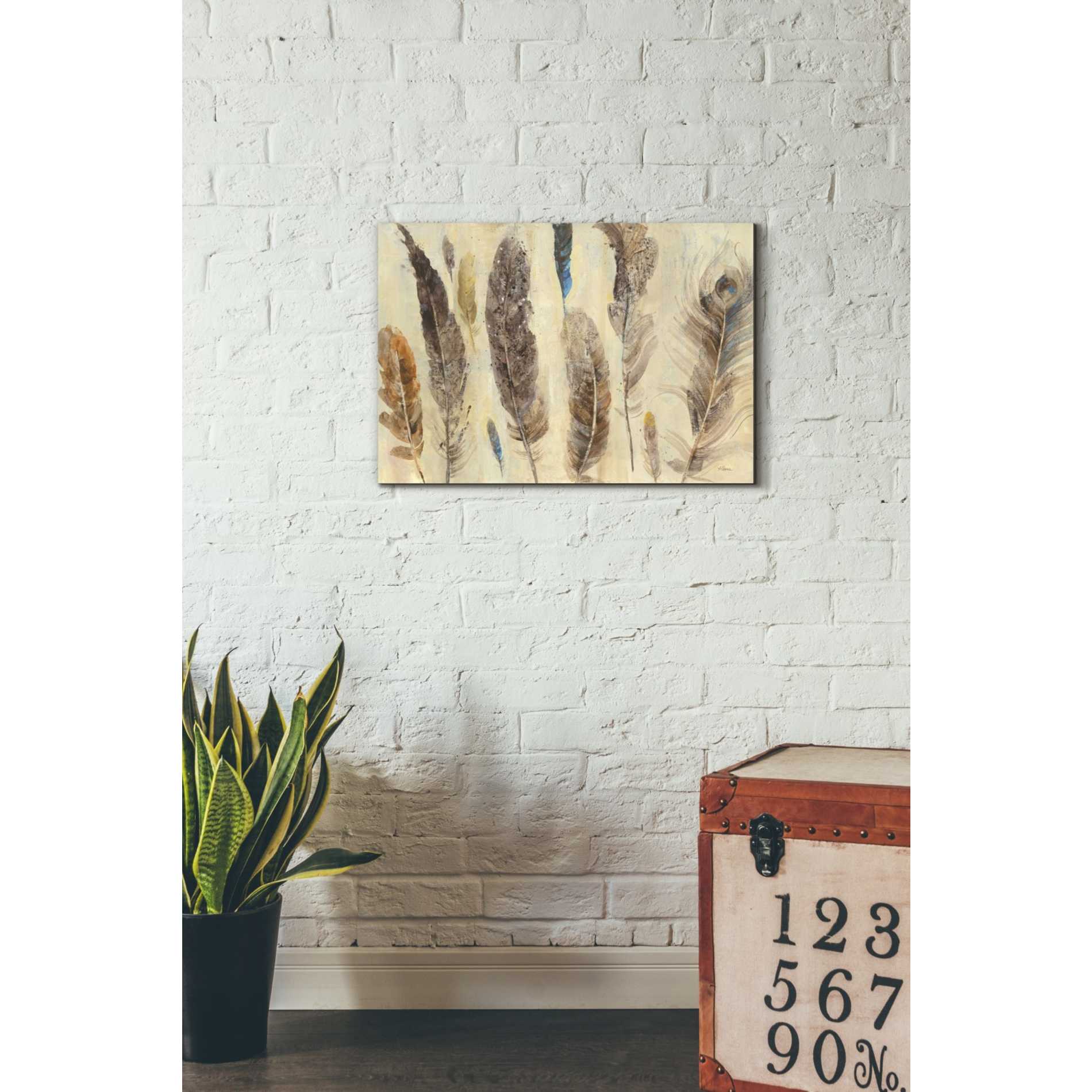 'Feather Study' by Albena Hristova, Canvas Wall Art,26 x 18