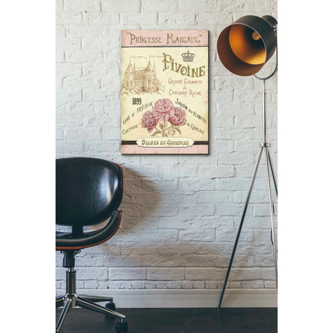 Image of 'French Seed Packet III' by Daphne Brissonet, Canvas Wall Art,18 x 26