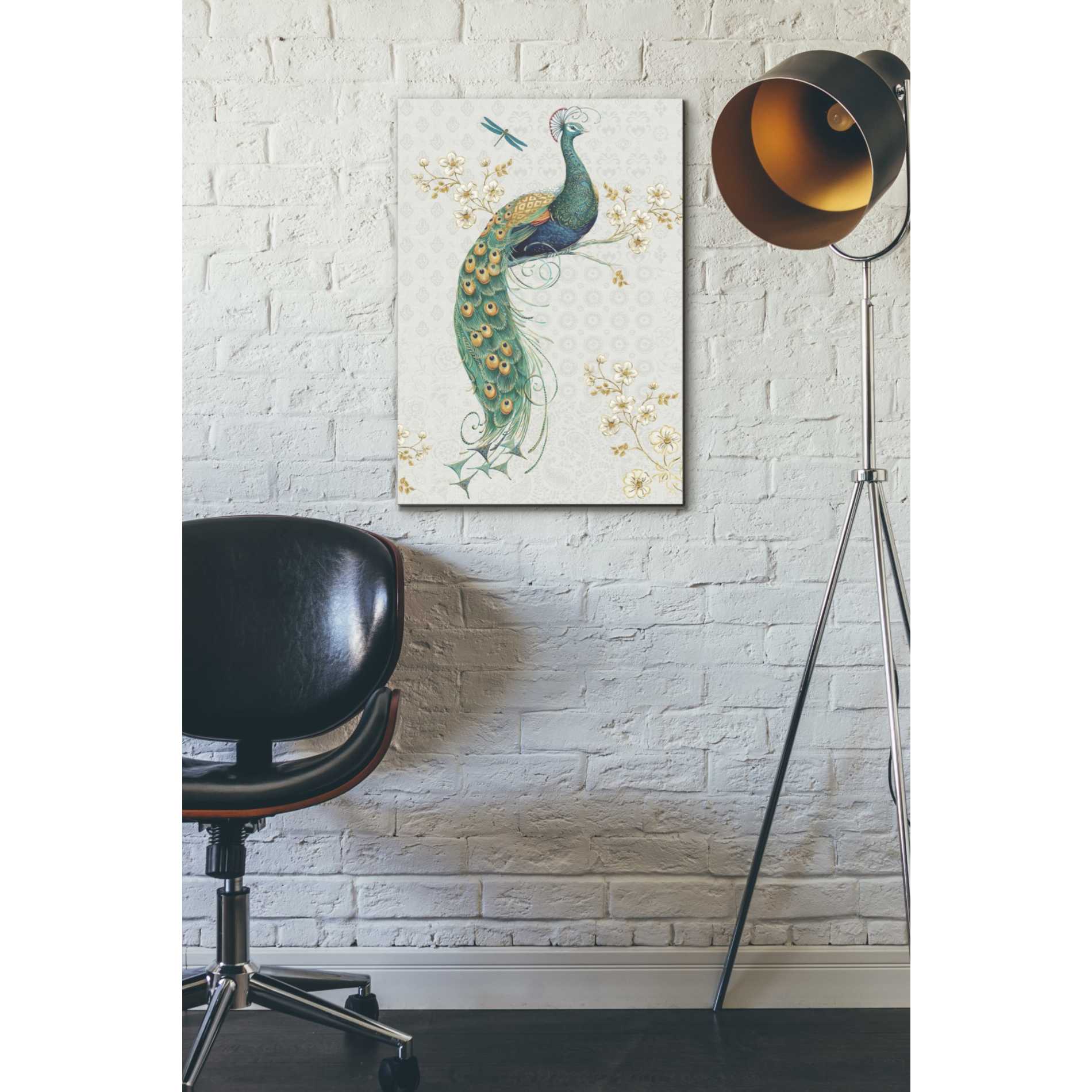 'Ornate Peacock IXA' by Daphne Brissonet, Canvas Wall Art,18 x 26