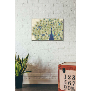 'Peacock Paradise II' by Veronique Charron, Canvas Wall Art,26 x 18