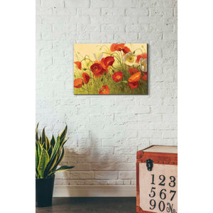'Havin a Heat Wave' by Shirley Novak, Canvas Wall Art,26 x 18