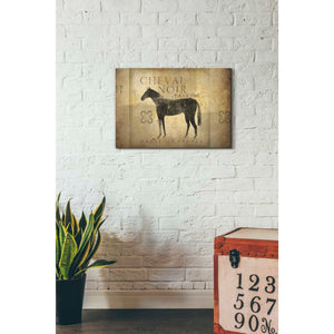 'Cheval Noir v4' by Ryan Fowler, Canvas Wall Art,18 x 26