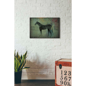 'Cheval Noir v1' by Ryan Fowler, Canvas Wall Art,18 x 26
