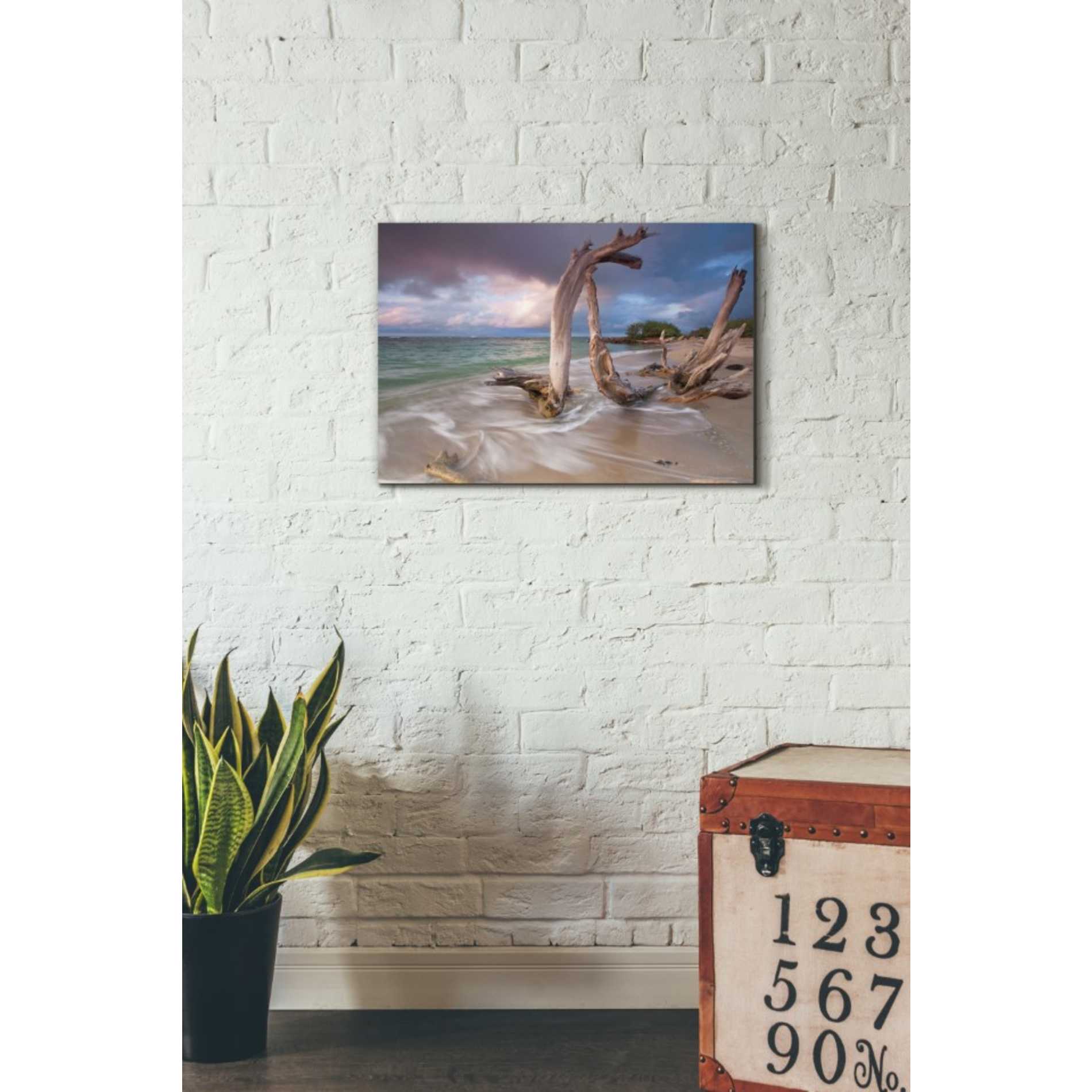 'Driftwood Sunset' by Katherine Gendreau, Giclee Canvas Wall Art