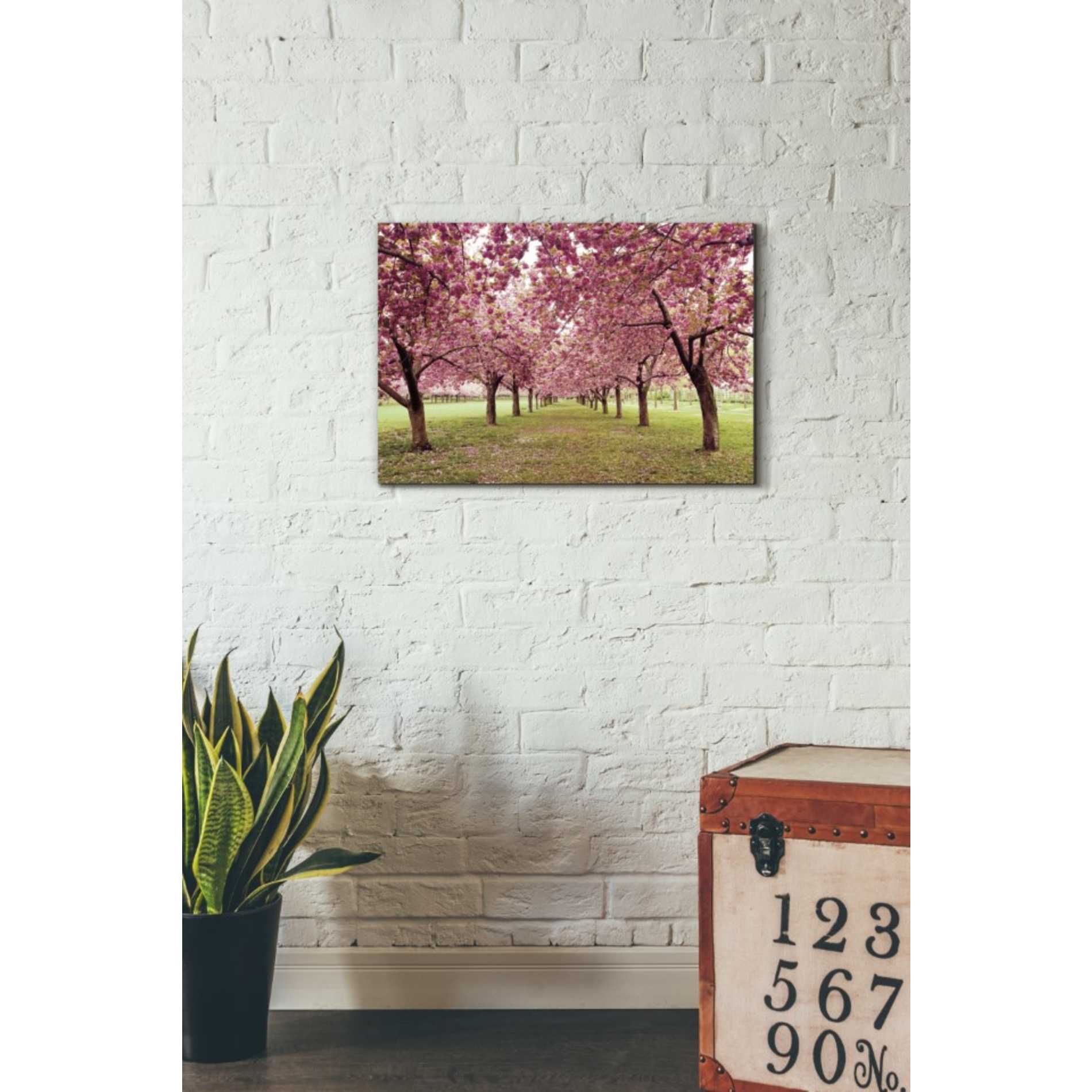 'Hall of Cherries' by Katherine Gendreau, Giclee Canvas Wall Art