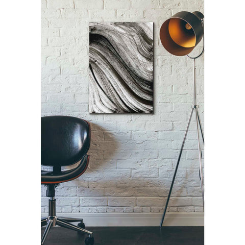 Image of 'Avalanche' Canvas Wall Art,18 x 26