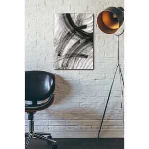 'Noctilucent' Canvas Wall Art,18 x 26