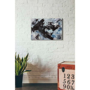 'Raven' Canvas Wall Art,26 x 18