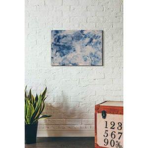 'Arctic Freeze' Canvas Wall Art,26 x 18