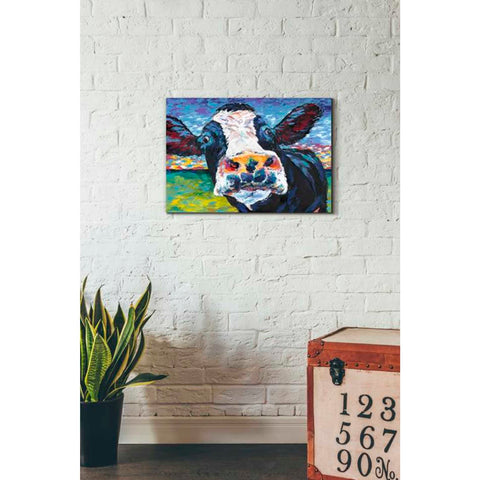 Image of 'Curious Cow II' by Carolee Vitaletti Giclee Canvas Wall Art