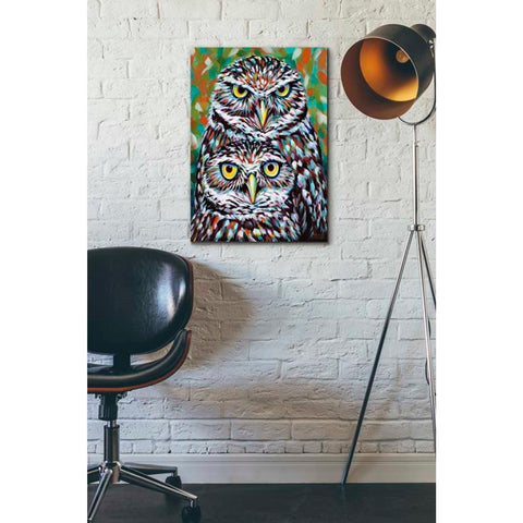 Image of 'Furry Feather Friends I' by Carolee Vitaletti Giclee Canvas Wall Art