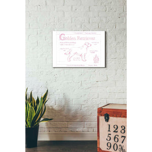 'Blueprint Golden Retriever in Pink' by Ethan Harper Canvas Wall Art,26 x 18