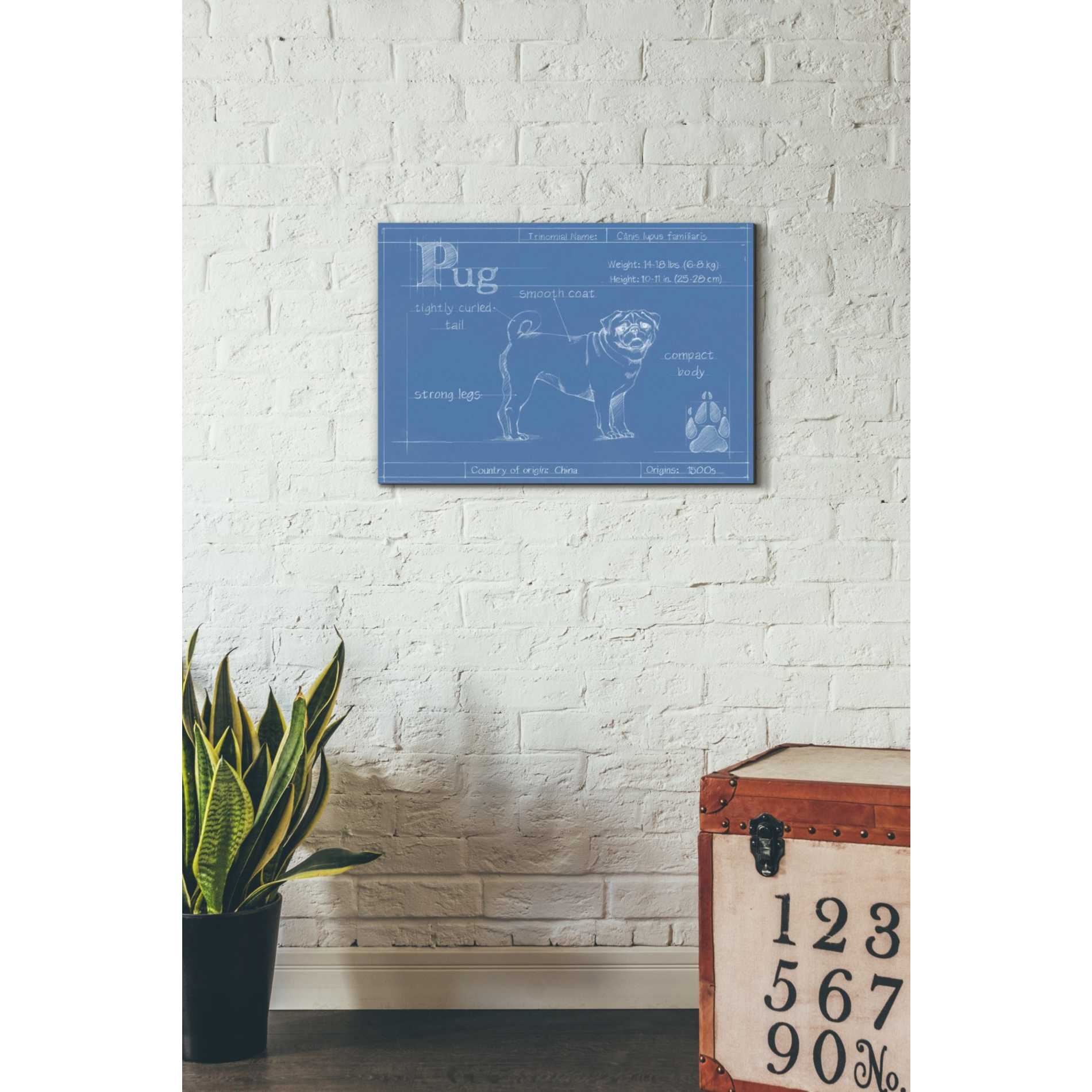 'Blueprint Pug' by Ethan Harper Canvas Wall Art,26 x 18