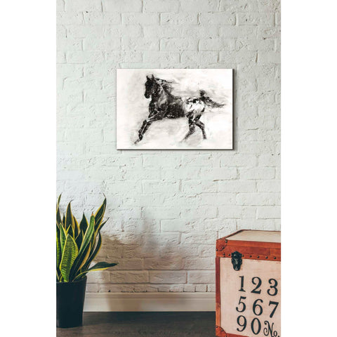 Image of 'Rustic Appaloosa II' by Ethan Harper Canvas Wall Art,26 x 18