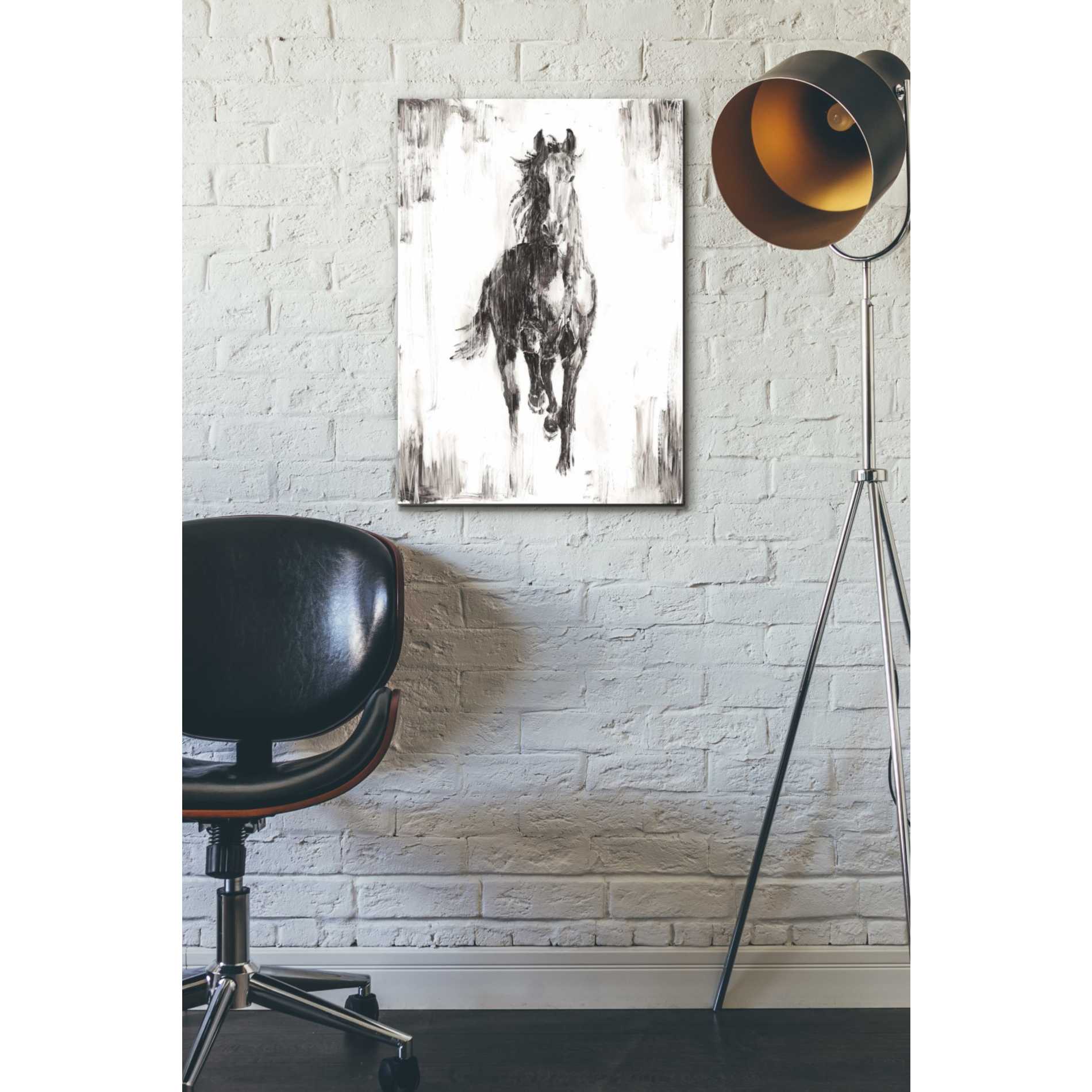 'Rustic Black Stallion I' by Ethan Harper Canvas Wall Art,18 x 26