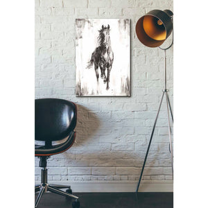 'Rustic Black Stallion I' by Ethan Harper Canvas Wall Art,18 x 26
