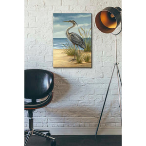 'Shore Bird II' by Ethan Harper Canvas Wall Art,18 x 26