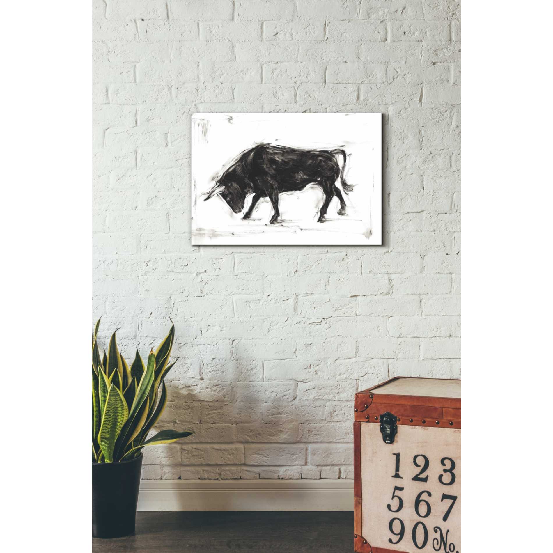 'Toro I' by Ethan Harper Canvas Wall Art,26 x 18