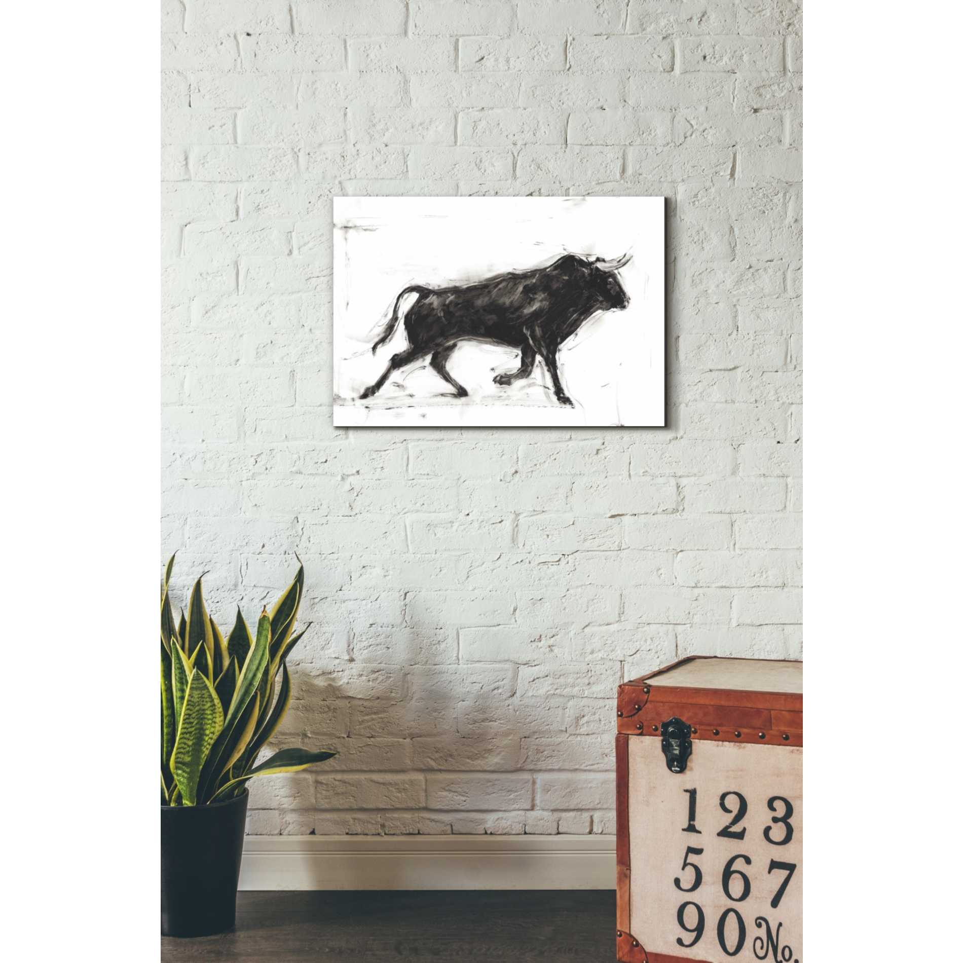 'Toro II' by Ethan Harper Canvas Wall Art,26 x 18