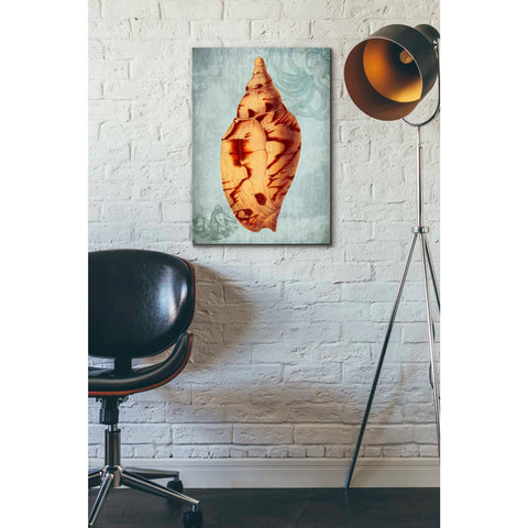 Image of 'Coastal Life Collection 2 d' by Fab Funky Giclee Canvas Wall Art