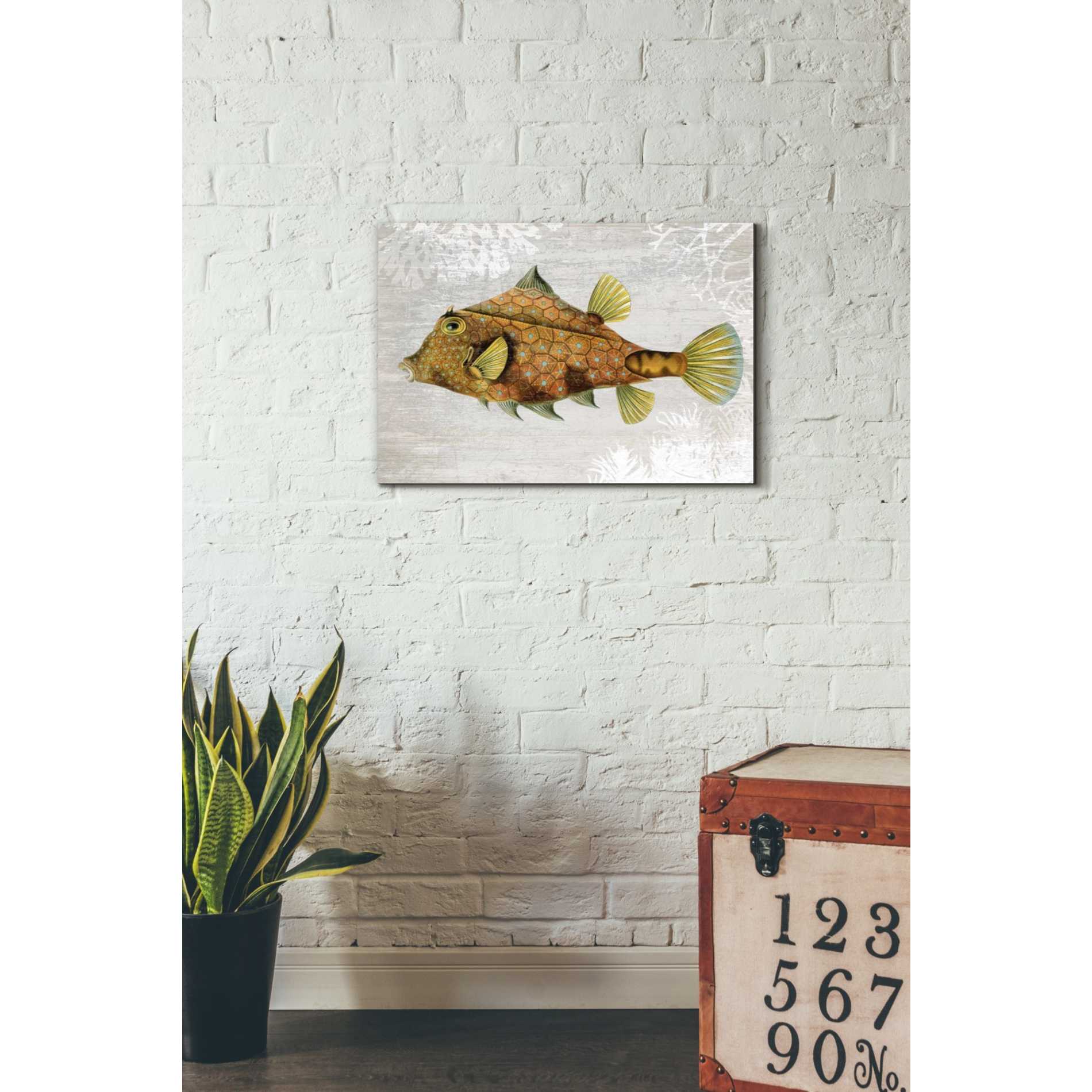 'Gold Turret Fish' by Fab Funky Giclee Canvas Wall Art
