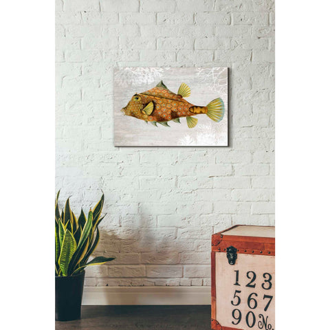 Image of 'Gold Turret Fish' by Fab Funky Giclee Canvas Wall Art