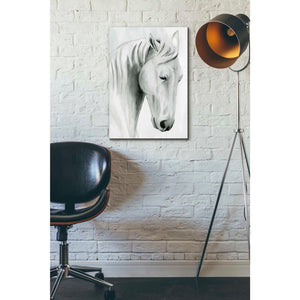 'Horse Whisper II' by Grace Popp Canvas Wall Art,18 x 26