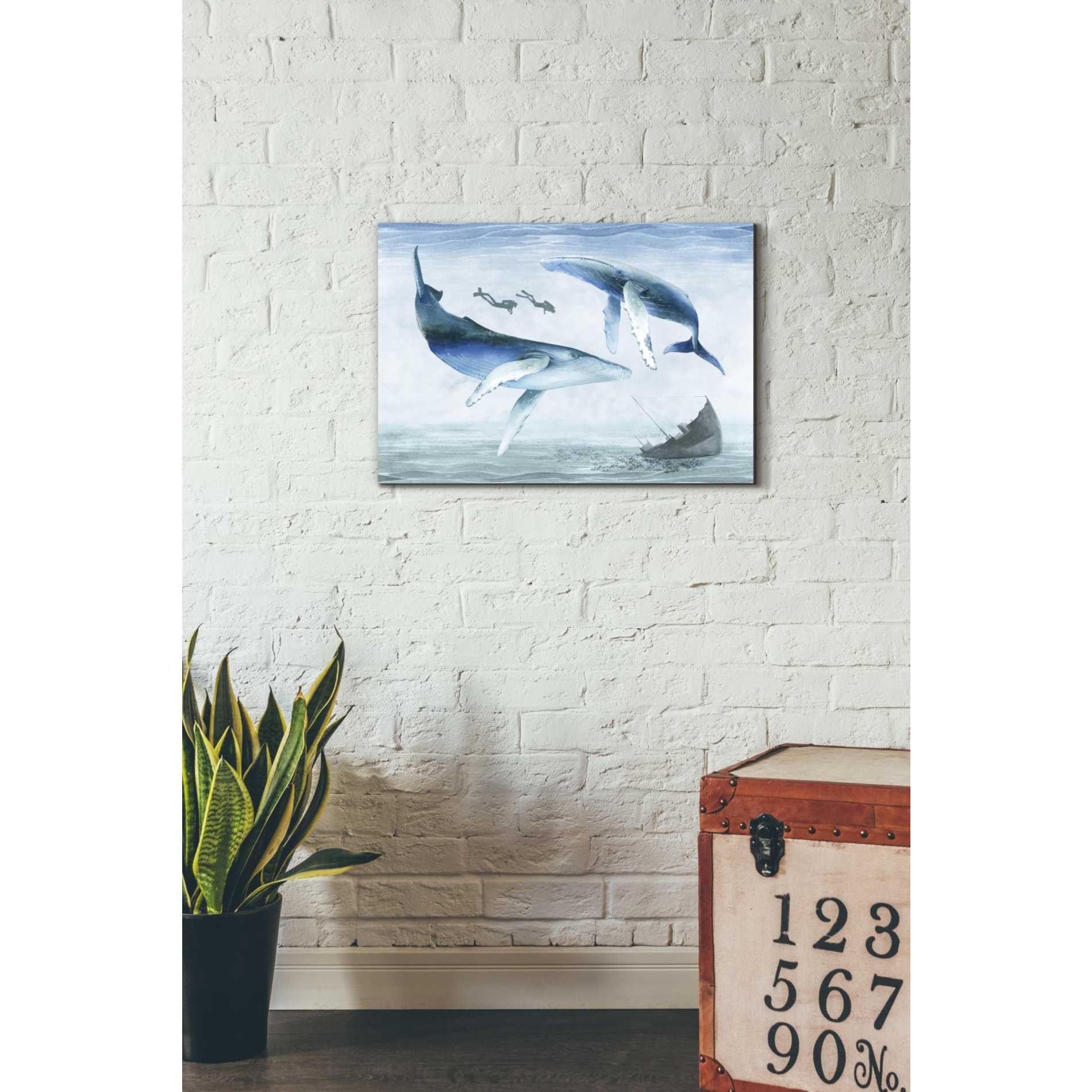 'Ocean Adventure Collection A' by Grace Popp Canvas Wall Art,26 x 18