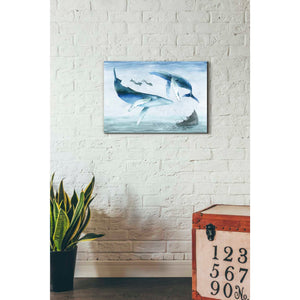 'Ocean Adventure Collection A' by Grace Popp Canvas Wall Art,26 x 18