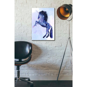 'Unicorn Universe IV' by Grace Popp Canvas Wall Art,18 x 26