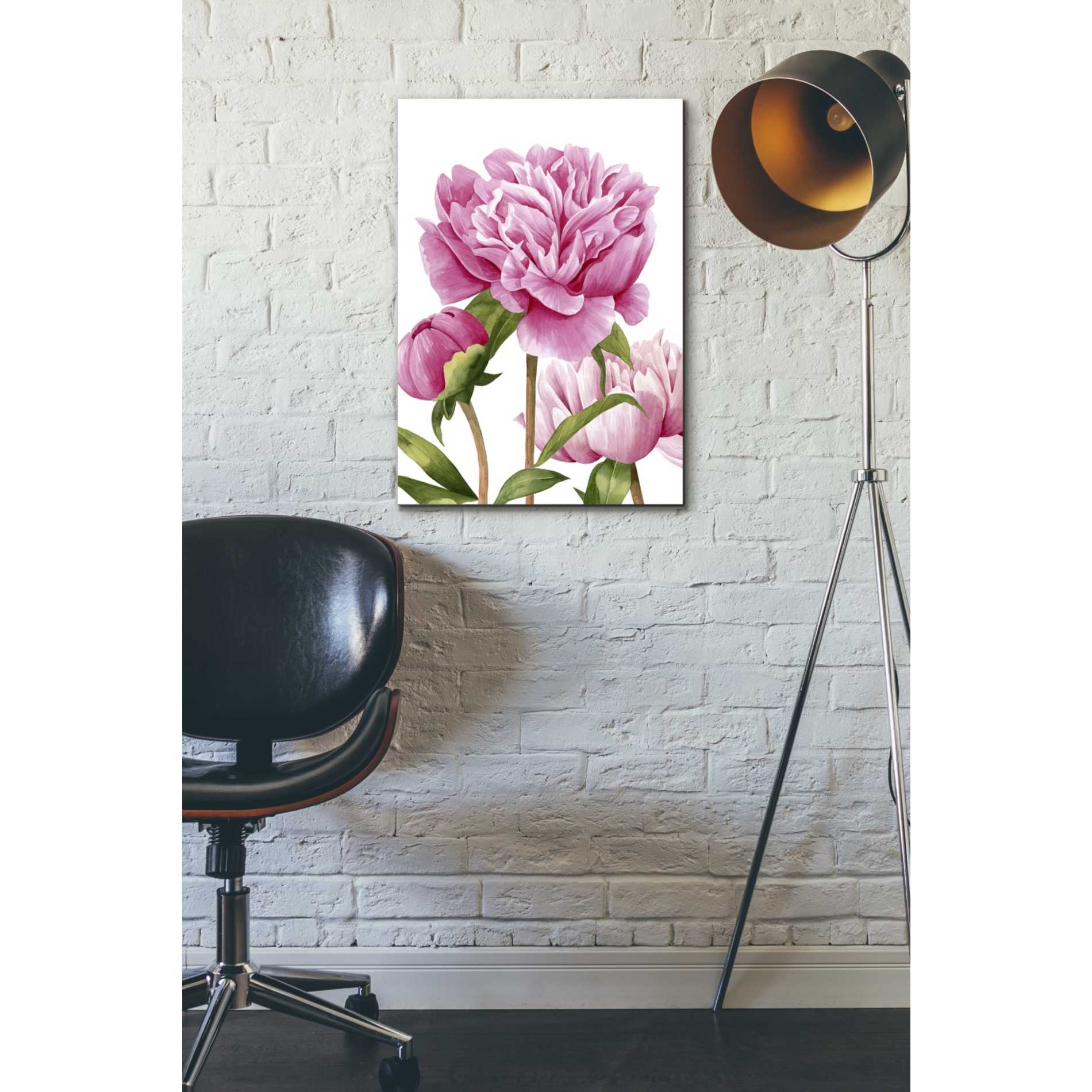 'Winsome Peonies II' by Grace Popp Canvas Wall Art,18 x 26