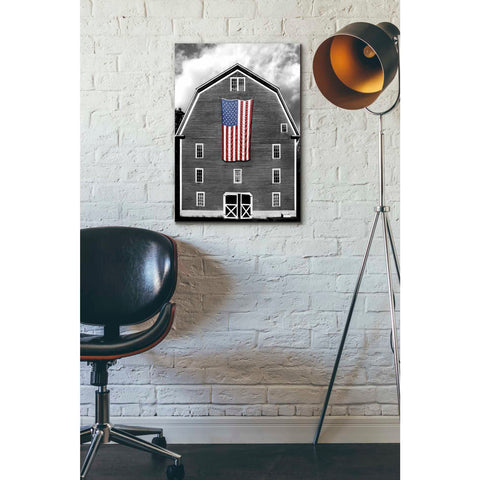 Image of 'Flags of Our Farmers XIX' by James McLoughlin Giclee Canvas Wall Art