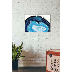 'Agate Studies I" by Naomi McCavitt. McCavitt Giclee Canvas Wall Art