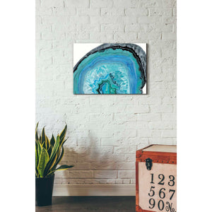 'Agate Studies II" by Naomi McCavitt. McCavitt Giclee Canvas Wall Art