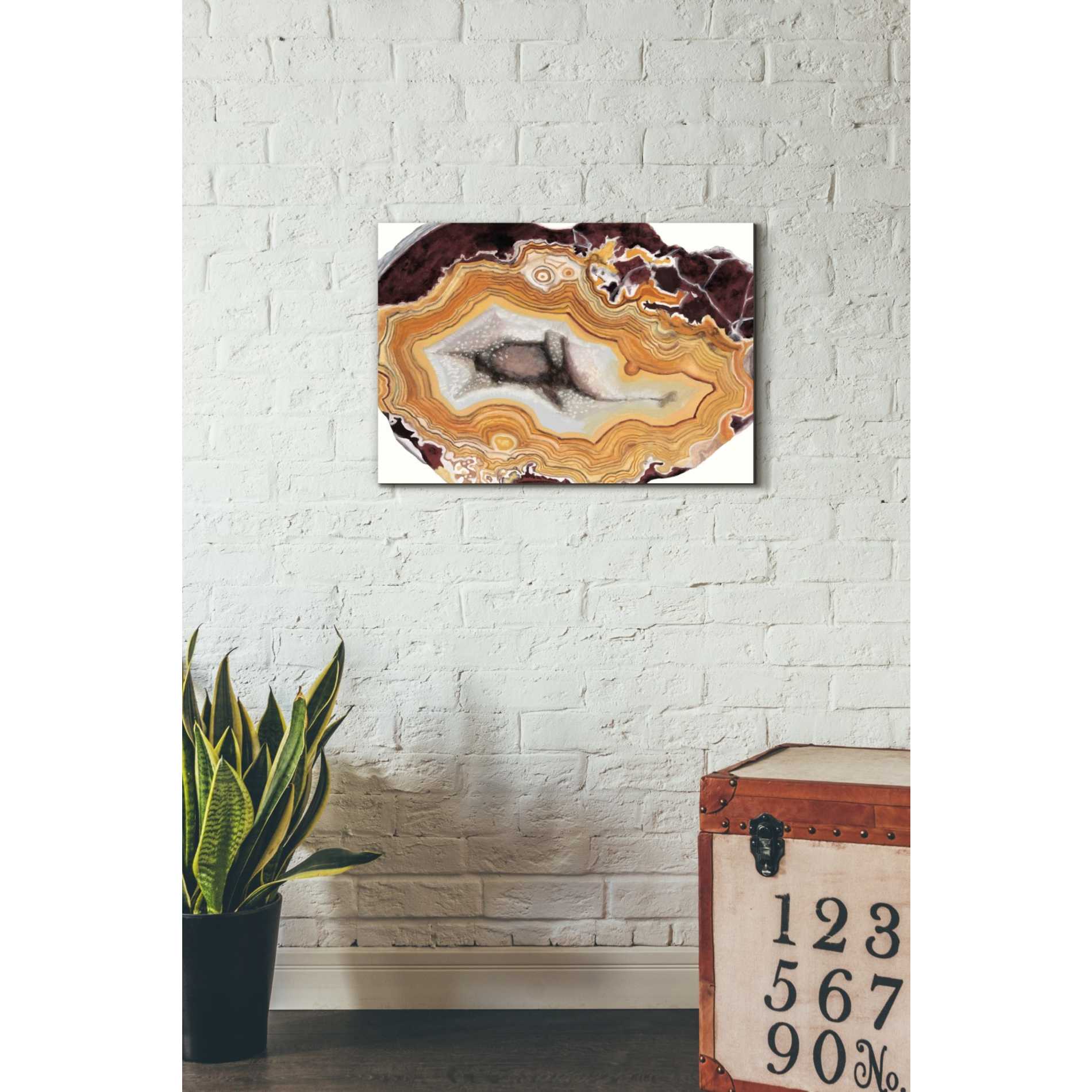 'Agate Studies III" by Naomi McCavitt. McCavitt Giclee Canvas Wall Art