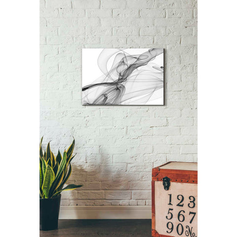 Image of 'Abstract Black and White 18-21' by Irena Orlov, Canvas Wall Art,26 x 18
