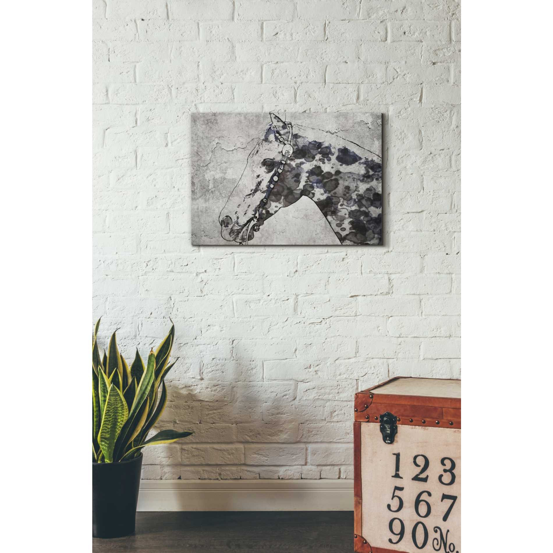 'Black Ghost Horse 2' by Irena Orlov, Canvas Wall Art,26 x 18