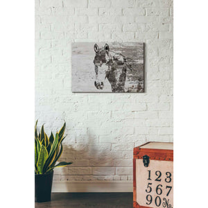 'Portrait of a Horse' by Irena Orlov, Canvas Wall Art,26 x 18