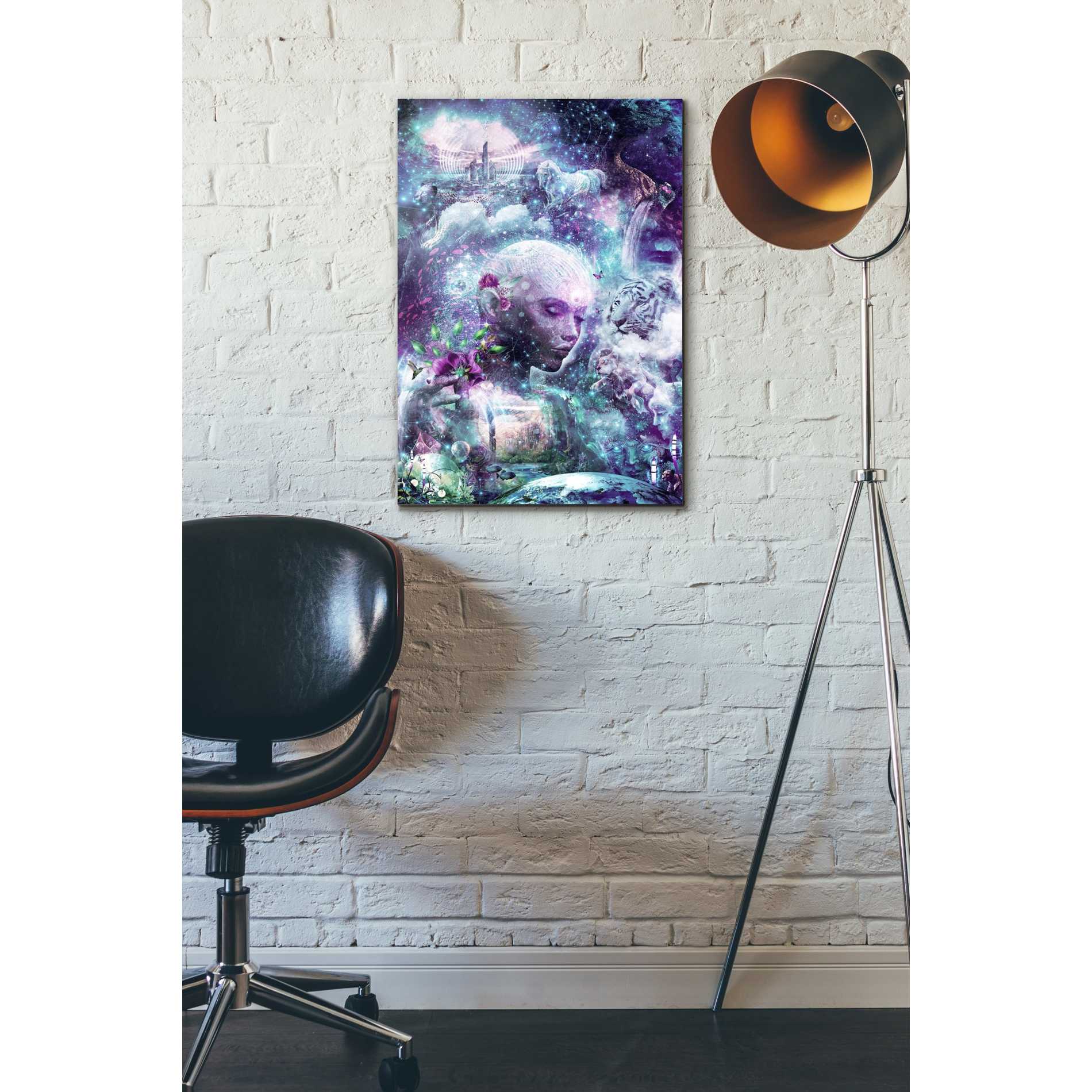 'Discovering The Cosmic Consciousness' by Cameron Gray, Canvas Wall Art,18 x 26