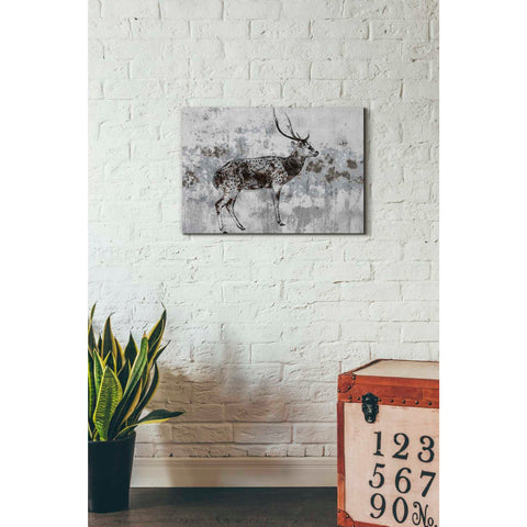 Image of 'Sika Deer 1' by Irena Orlov, Canvas Wall Art,26 x 18