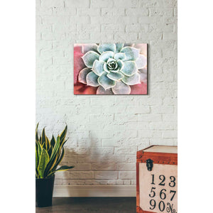 'Succulent Garden' by Irena Orlov, Canvas Wall Art,26 x 18